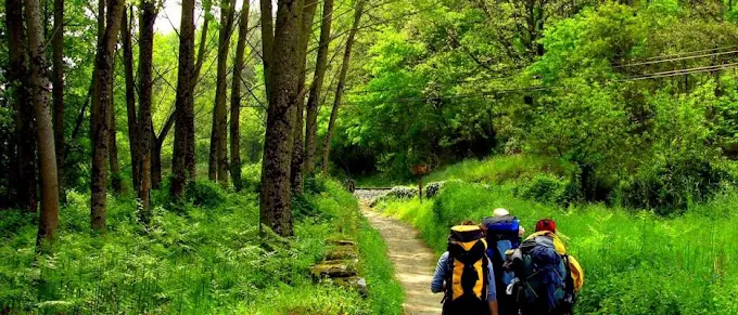 Peregrinos caminando hacia Portomarín