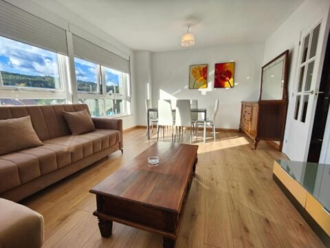 alojamiento petfriendly a 200 me¡ de la Catedral de Santiago