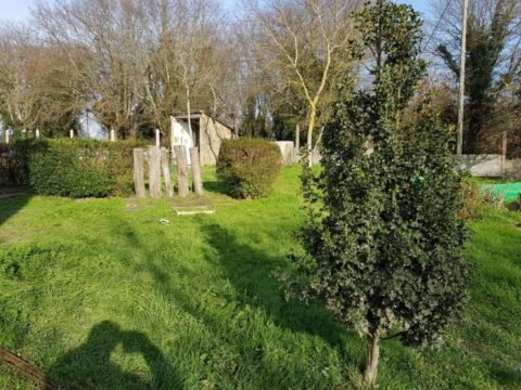 alojamiento con jardín para peregrinos que viajan con perros