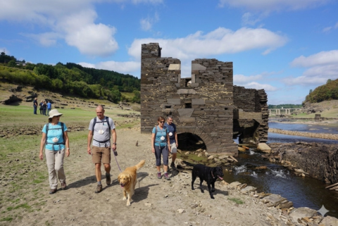 paseo con perros por las orillas del embalse de Portomarín