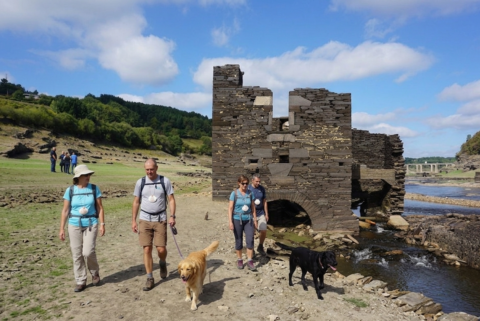 paseo con perros por las orillas del embalse de Portomarín