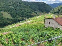 El mejor plan para el puente de mayo 2026: Inmersión por la Ribeira Sacra y la 5ª Portomarín Beerfest puente-de-mayo-2026